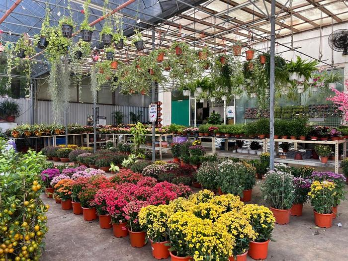Greenhouse full of potted flowering plants and hanging baskets — GP FloraL wholesale plant nursery, Penang